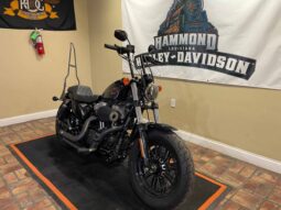 
										2019 Harley-Davidson Forty-Eight (XL1200X) full									