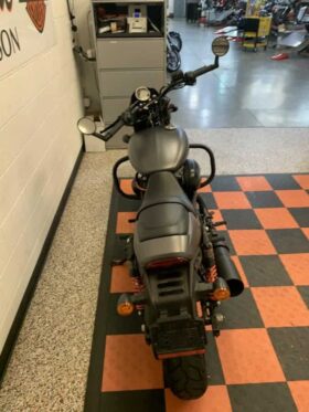 2017 Harley-Davidson Street Rod (XG750A)